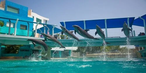 Aquarium Cancun